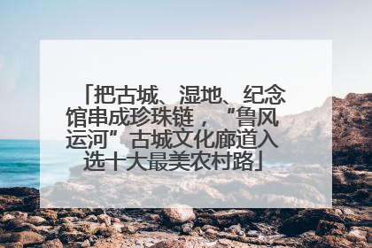 把古城、湿地、纪念馆串成珍珠链，“鲁风运河”古城文化廊道入选十大最美农村路