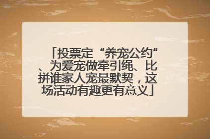 投票定“养宠公约”、为爱宠做牵引绳、比拼谁家人宠最默契，这场活动有趣更有意义