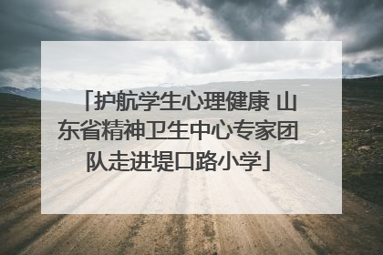 护航学生心理健康 山东省精神卫生中心专家团队走进堤口路小学