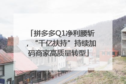 拼多多Q1净利腰斩，“千亿扶持”持续加码商家高质量转型