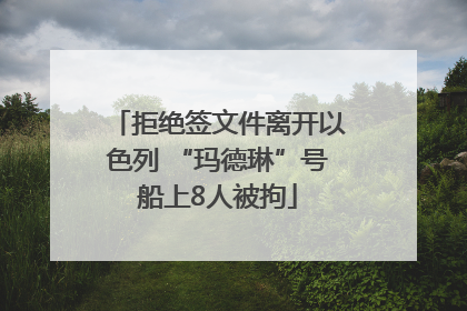 拒绝签文件离开以色列 “玛德琳”号船上8人被拘