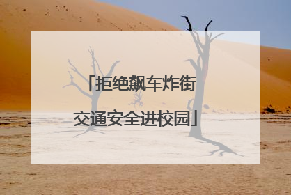 拒绝飙车炸街 交通安全进校园