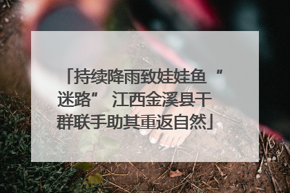 持续降雨致娃娃鱼“迷路” 江西金溪县干群联手助其重返自然