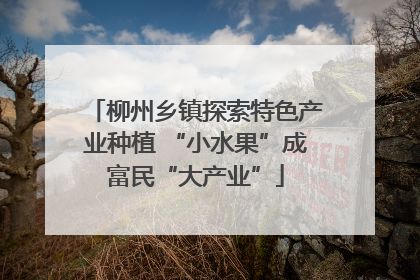 柳州乡镇探索特色产业种植 “小水果”成富民“大产业”