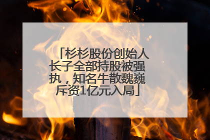 杉杉股份创始人长子全部持股被强执，知名牛散魏巍斥资1亿元入局