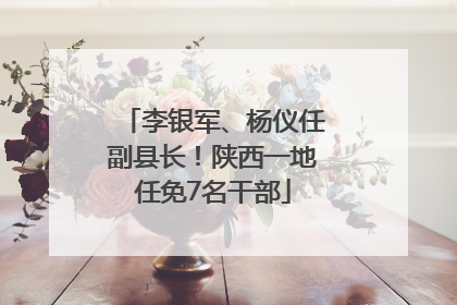 李银军、杨仪任副县长！陕西一地任免7名干部
