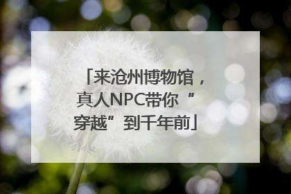 来沧州博物馆，真人NPC带你“穿越”到千年前