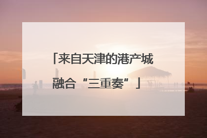 来自天津的港产城融合“三重奏”