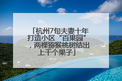 杭州7旬夫妻十年打造小区“百果园”，两棵猕猴桃树结出上千个果子