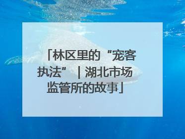 林区里的“宠客执法”｜湖北市场监管所的故事