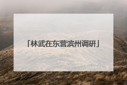 林武在东营滨州调研