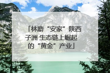 林麝“安家”陕西子洲 生态链上崛起的“黄金”产业