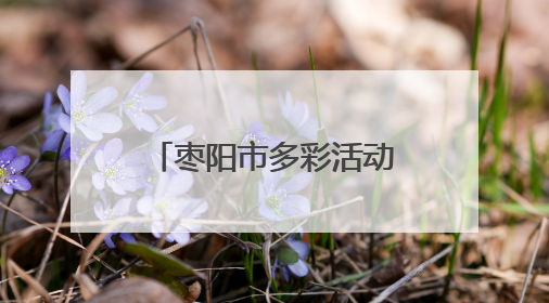 枣阳市多彩活动点亮端午佳节