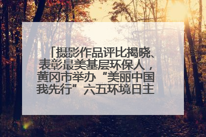 摄影作品评比揭晓、表彰最美基层环保人，黄冈市举办“美丽中国我先行”六五环境日主题宣传活动