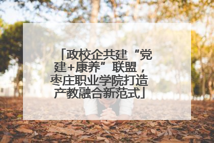 政校企共建“党建+康养”联盟，枣庄职业学院打造产教融合新范式
