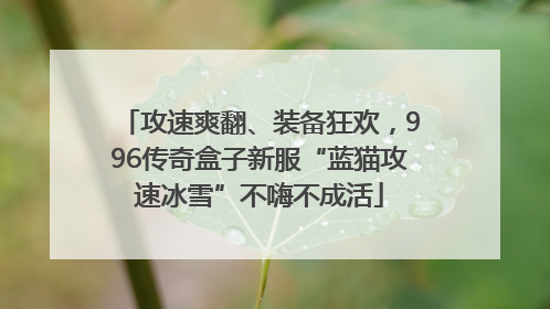 攻速爽翻、装备狂欢，996传奇盒子新服“蓝猫攻速冰雪”不嗨不成活