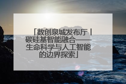 数创泉城发布厅丨碳硅基智能融合——生命科学与人工智能的边界探索
