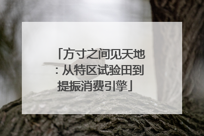 方寸之间见天地：从特区试验田到提振消费引擎