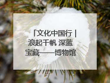 文化中国行｜浪起千帆 深蓝宝藏——博物馆里的海丝遗珍