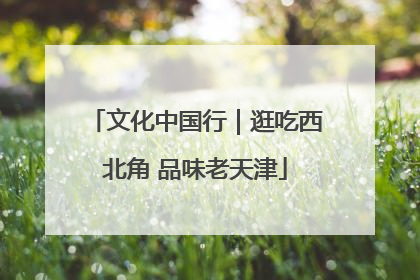 文化中国行｜逛吃西北角 品味老天津