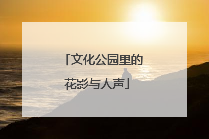 文化公园里的花影与人声