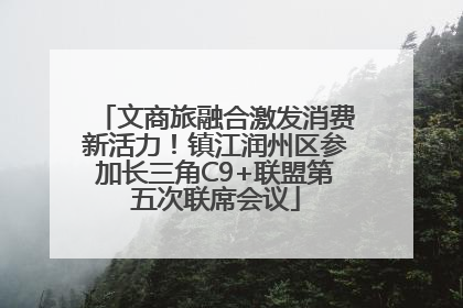 文商旅融合激发消费新活力！镇江润州区参加长三角C9+联盟第五次联席会议