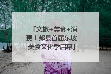 文旅+美食+消费！郏县首届东坡美食文化季启幕