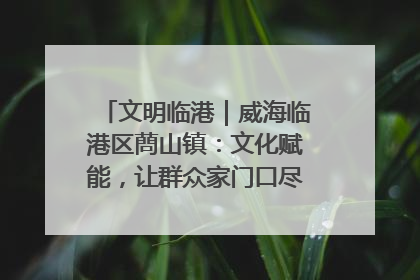 文明临港｜威海临港区蔄山镇：文化赋能，让群众家门口尽享幸福生活