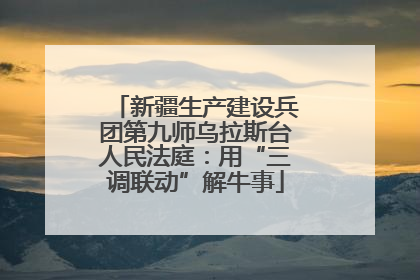 新疆生产建设兵团第九师乌拉斯台人民法庭：用“三调联动”解牛事