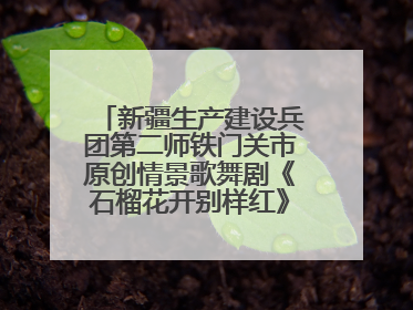 新疆生产建设兵团第二师铁门关市原创情景歌舞剧《石榴花开别样红》将来河北巡演