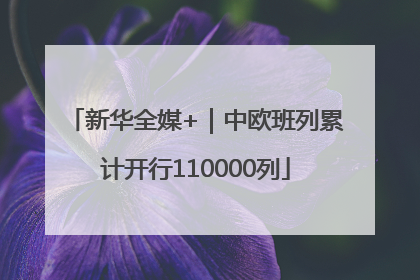 新华全媒+｜中欧班列累计开行110000列