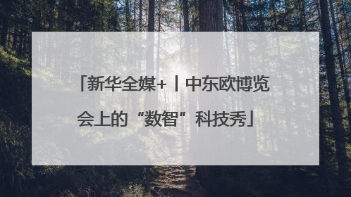 新华全媒+丨中东欧博览会上的“数智”科技秀