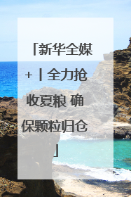 新华全媒+丨全力抢收夏粮 确保颗粒归仓