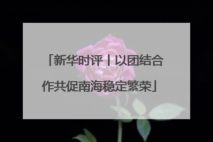新华时评丨以团结合作共促南海稳定繁荣