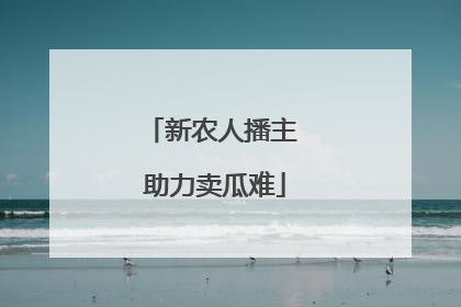 新农人播主 助力卖瓜难