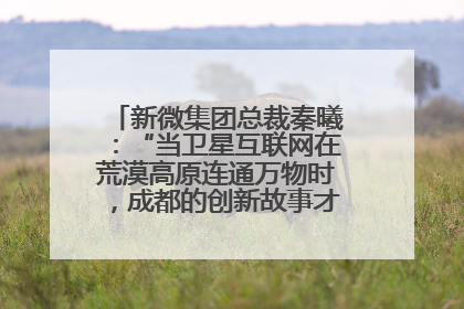 新微集团总裁秦曦：“当卫星互联网在荒漠高原连通万物时，成都的创新故事才真正开始”