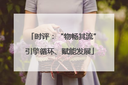 时评：“物畅其流”引擎循环、赋能发展