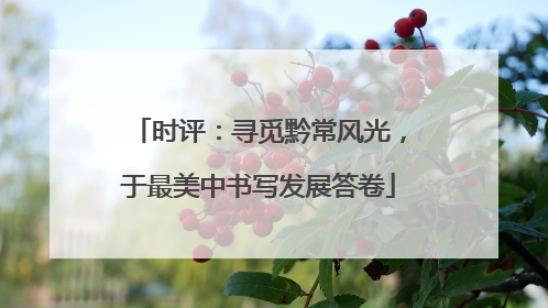 时评：寻觅黔常风光，于最美中书写发展答卷