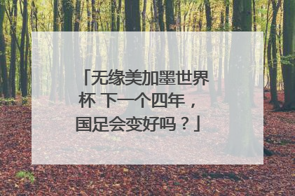 无缘美加墨世界杯 下一个四年，国足会变好吗？