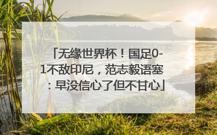 无缘世界杯！国足0-1不敌印尼，范志毅语塞：早没信心了但不甘心