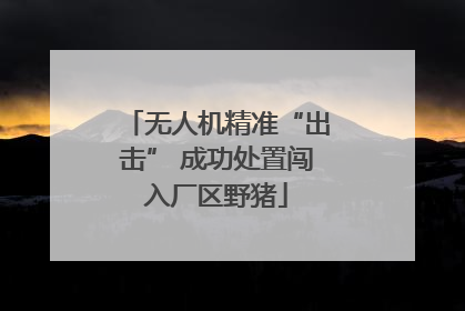 无人机精准“出击” 成功处置闯入厂区野猪