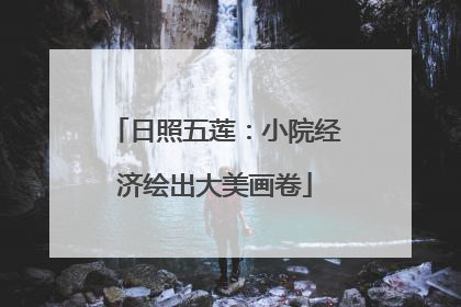 日照五莲：小院经济绘出大美画卷