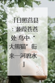 日照莒县：蒹葭苍苍处 鸟中“大熊猫”衔来一河碧水
