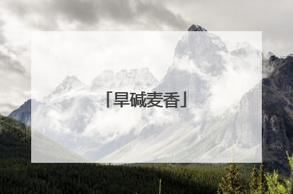 旱碱麦香