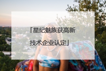 星纪魅族获高新技术企业认定