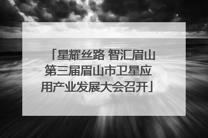 星耀丝路 智汇眉山 第三届眉山市卫星应用产业发展大会召开