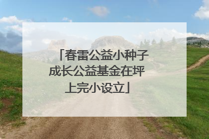 春雷公益小种子成长公益基金在坪上完小设立
