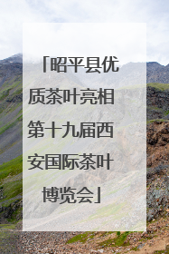 昭平县优质茶叶亮相第十九届西安国际茶叶博览会