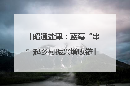 昭通盐津：蓝莓“串”起乡村振兴增收链