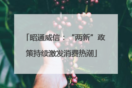 昭通威信：“两新”政策持续激发消费热潮